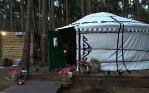 Beautiful Woodland Yurt in North Norfolk
