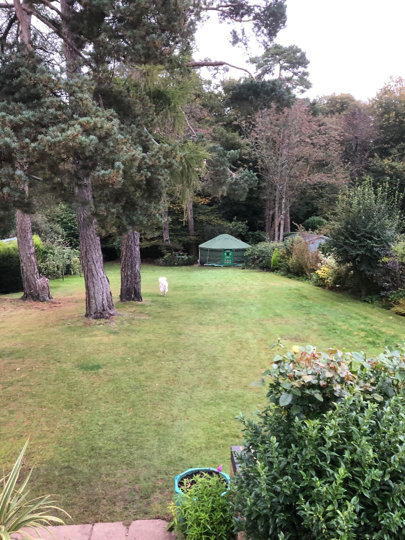 green yurt in garden