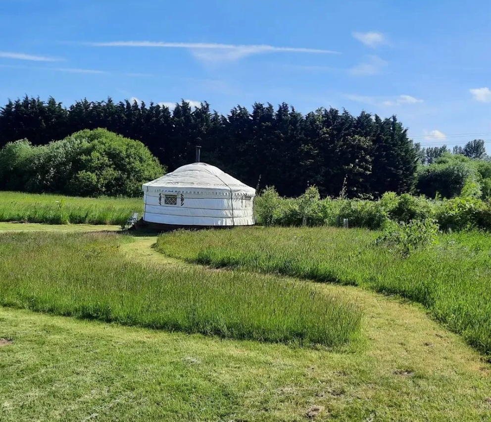 Canfield glamping yurt