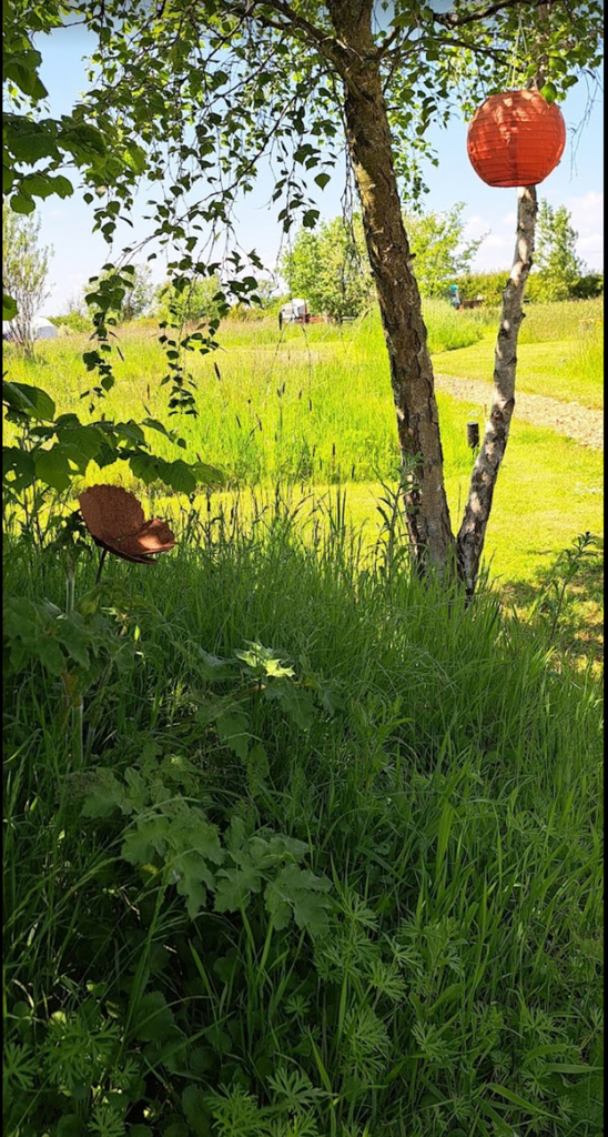 Sunlight filtering through green trees and grass on a bright day.