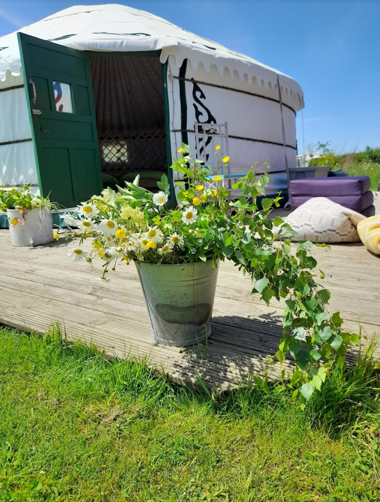 Potted wildflowers and greenery on a wooden deck leading to a yurt