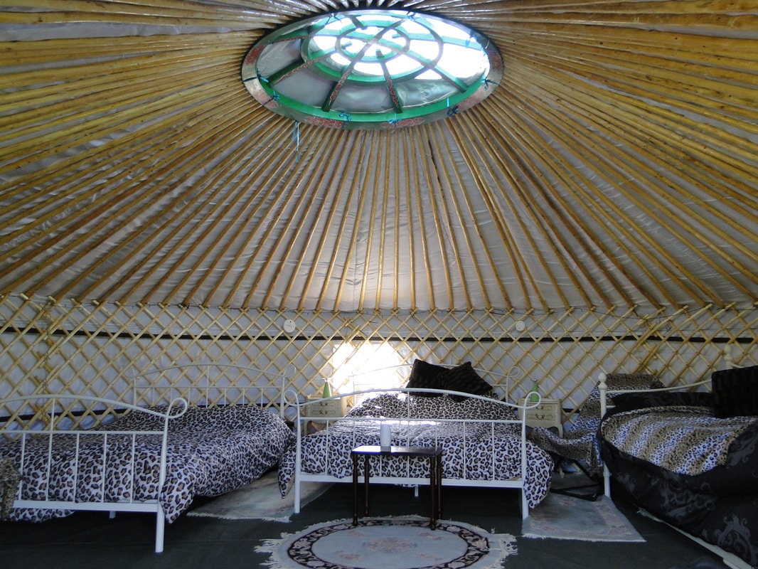 Why a Mongolian Yurt Is the Smartest Investment in UK Glamping Right Now