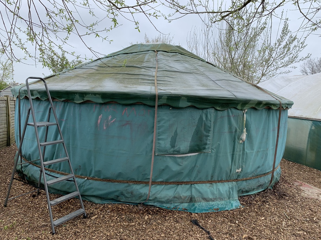 3.5 year old yurt before cleaning — algae and graffiti visible on canvas